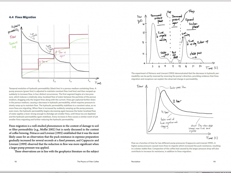 The Physics of Filter Coffee